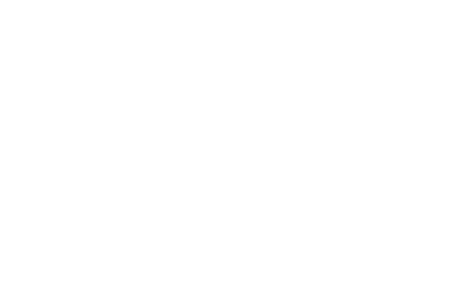 4-Crowdstrike